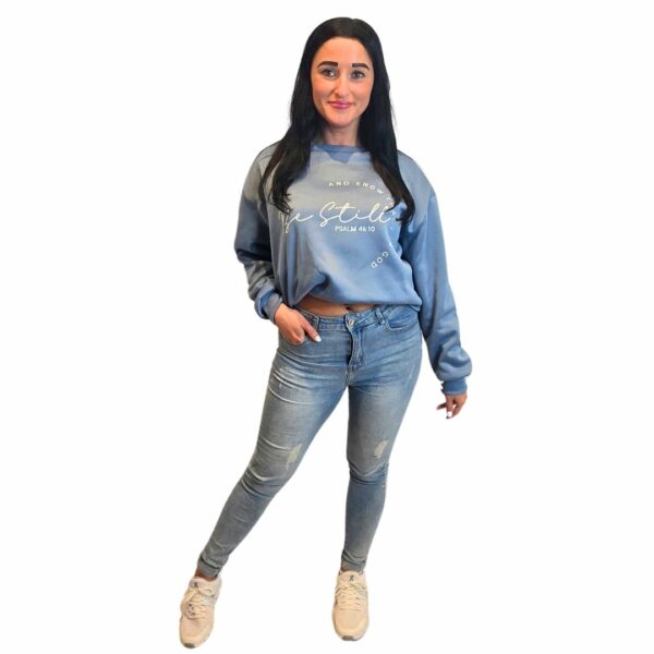 Definition Sweatshirt Fluffy